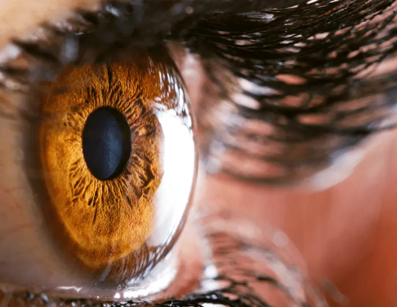 Очите говорят - irisolog